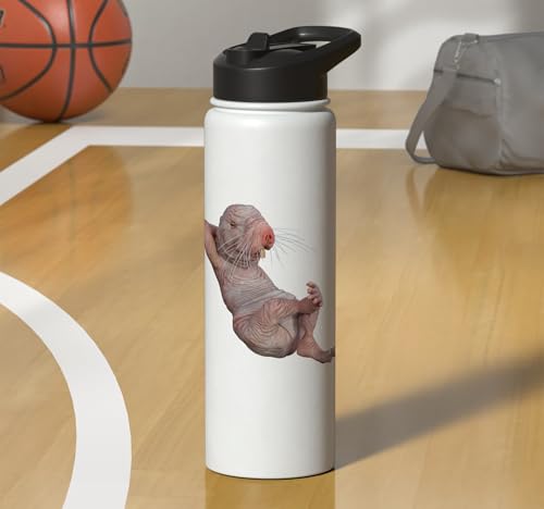 I Just Really Like Naked Moles Ok? Funny Naked Mole Rat Stainless Steel Insulated Water Bottle - color: White