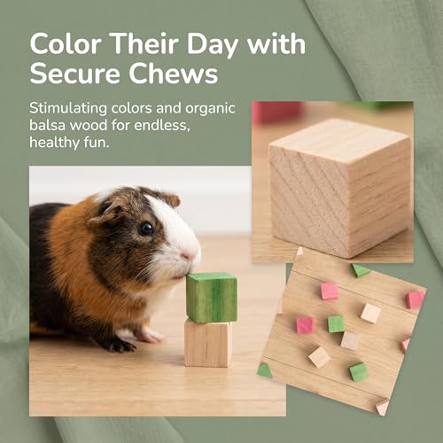 Premium Balsa Wood Small Animal Chew Toys (0.8") - 100% Natural, 4-Flavor Fruit Infused Blocks for Hamsters, Guinea Pigs & Rats - Safe, Ultra-Light Foraging Treats