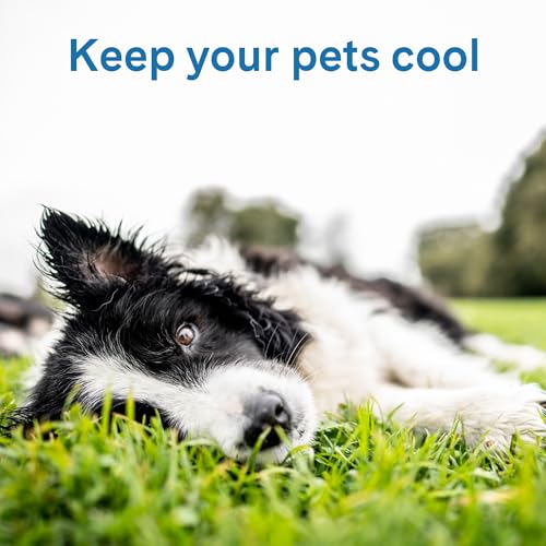 The Green Pet Shop Cool Pet Pad - Medium, Disney’s Stitch - Self-Cooling, Pressure Activated Mat for Dogs & Cats from 21-45 lbs - Non-Toxic Gel, No Water Needed - color: Stitch, size: Medium