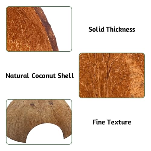 PINVNBY 2 PCS Natural Coconut Reptile Hideouts Lizard Coco Hut Hermit Crab Hut Aquarium Fish Hide Cave Spider Snail Climber Toys - size: 2 PCS Smooth Surface