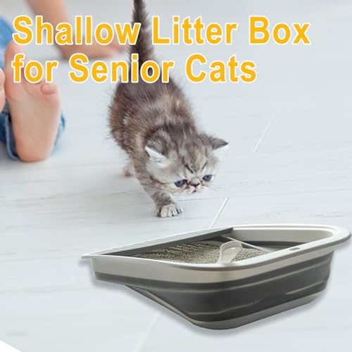 Low Entry Kitten Litter Box Collapsible Shallow Litter Box | Senior Cats Anti-Splashing Kitty Training Open Potty Pan Scoop Leak-proof pedal Cat Toilet No Smell Easy Clean - color: Grey, size: Medium
