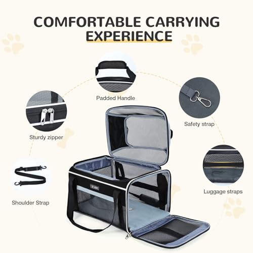 Lekereise Top-Expandable Pet Carrier 18x11x11Inch Delta American United Airline Approved Soft Sided Underseat to 15lbs Travel Carriers for Small Dogs Cats with Locking Safety Zippers Anti-Scratch Mesh - color: Black