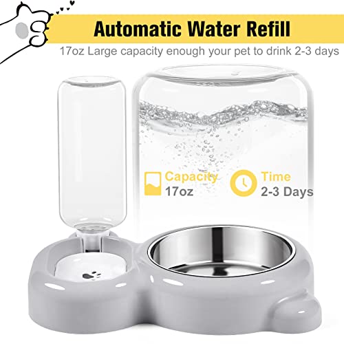 Dog Bowls, Cat Food and Water Bowl Set with Water Dispenser and Stainless Steel Bowl for Cats and Small Dogs - Grey - color: Grey