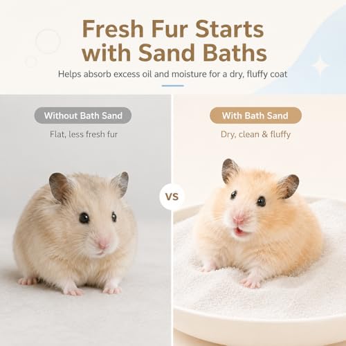 Meow&Woof Bath Sand for Hamster 2.2 lbs Dust Free Desert Sand or Potty Litter Sand for Chinchillas Gerbil Syrian Mice Small Animals Trial Version 2.2 Lbs - color: 2.2 Lbs