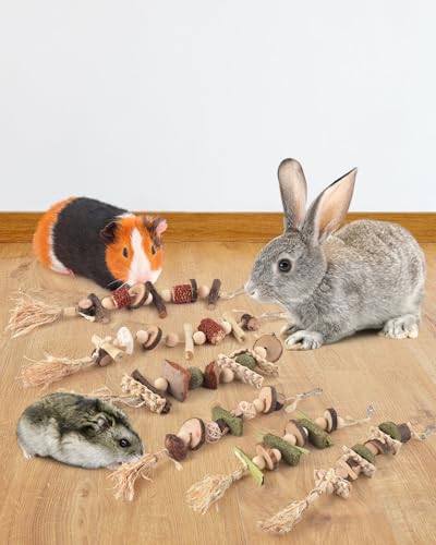 DBNESS 6PCS Bunny Chew Toys, Hamster Rabbit Cage Hanging Chew Toys, Natural Apple Wood Bunnies Treats, Improve Small Animal Teeth Health for Guinea Pig Chinchilla Ferret Rats Gerbil - size: 6 Pcs