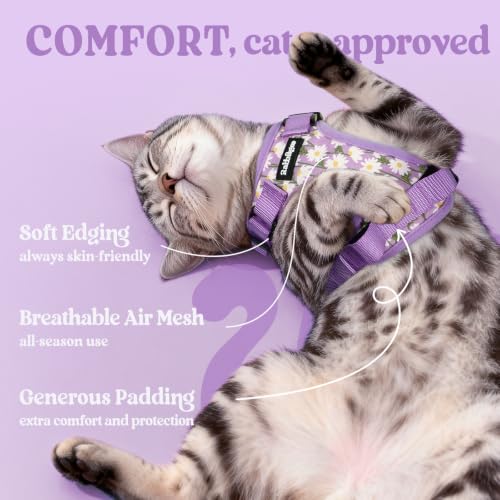 rabbitgoo Cat Harness and Leash Set, Escape Proof Vest, Purr-ple Daisy | Soft Breathable Mesh, Easy Adjustable Fit, Snap Buckles, Sturdy Clip, Reflective Strips, for Kittens & Small Cats Walks, Xxs - color: Purr-ple Daisy, size: Xxs