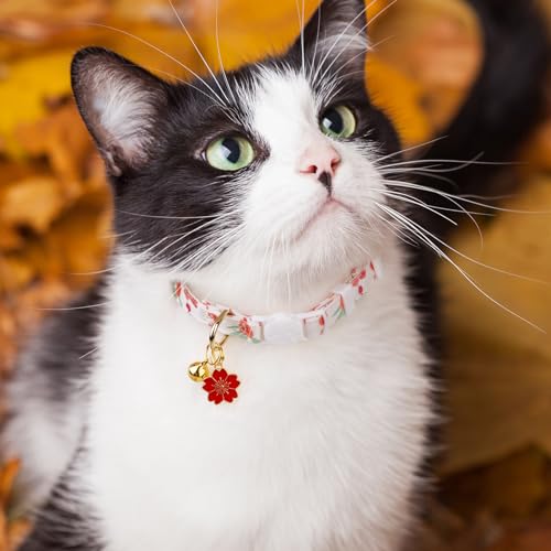 2 Pack Cotton Cat Collar Green and Red Flowers Cute Kitten Cat Collar | Breakaway Breathable Soft material With cute pendants with Bell - color: Green&Red