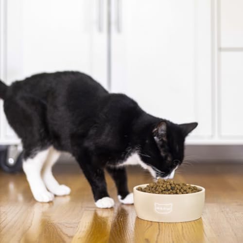 Pearhead Ceramic Cat Bowl, Holds 12 oz, Taupe Meow Design - color: Taupe "Meow", size: Single Bowl