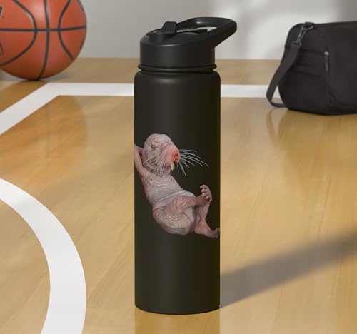 I Just Really Like Naked Moles Ok? Funny Naked Mole Rat Stainless Steel Insulated Water Bottle - color: Black
