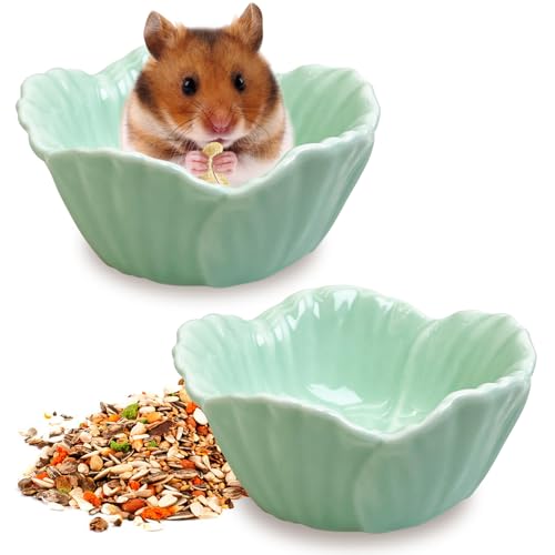 Tfwadmx 2 Pcs Ceramic Pet Hamster Bowl, Dwarf Hamster Food Bowl Feeder, Small Animal Food Dish for Guinea Pigs, Hedgehogs, Mice, Pygmy Hamsters, Robertsky'S Cheeky Mice (Cyan) - color: Cyan