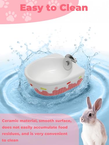 Chinchilla Food Bowl Ceramic Guinea Pig Cage Feeder Hanging Bunny Food Dish Small Animal Feeding Bowls for Syrian Hamster Ferret Gerbils (Pink) - color: Pink