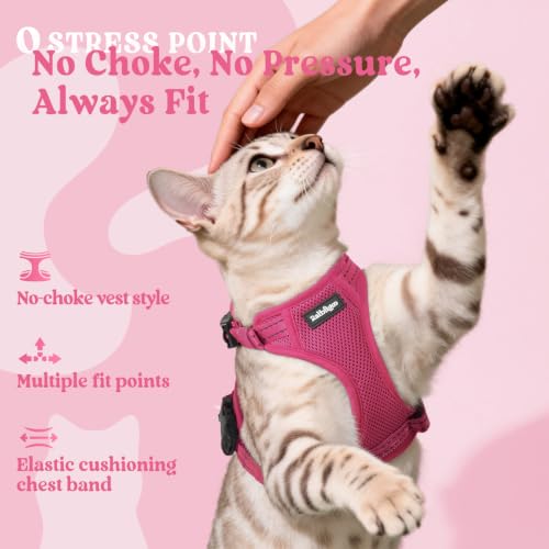 rabbitgoo Cat Harness and Leash Set, Easy-on with Neck Buckle, Rose Red | Escape Proof, No Over-the-head, Soft Air Mesh, 3 Lockable Adjusters & Buckles, Reflective, for Kittens & Small Cats Walks, Xs - color: Rose Red, size: Xs