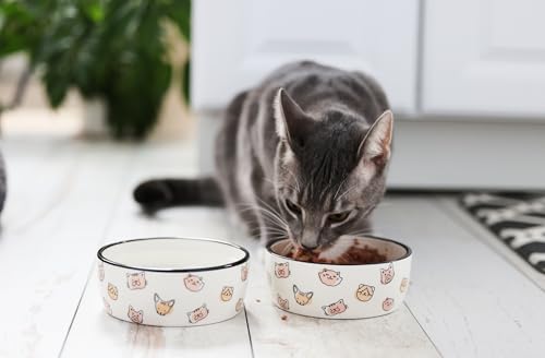 Pearhead Ceramic Cat Bowl, Holds 12 oz, Cute Cat Face Design - color: Blush Cat Faces, size: Single Bowl