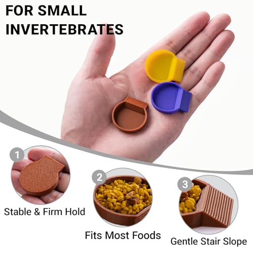 12-Pack Feeding Dish for Invertebrates – Feeder Bowls for Dubia Roaches, Isopods, Springtails, Superworms, Small Insects & More – Mini Bowls for Reptile Food & Supplements
