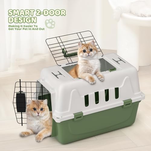 Magshion 18 Inch Hard-Sided Dog Cat Carrier, Green | Top and Front Door Access, Plastic Dog Kennel for Longer Traveling, Durable Handle and 4 Sides Ventilation, For Pet Up 20 lbs - size: 18.0"L x 10.5"W x 12.0"H