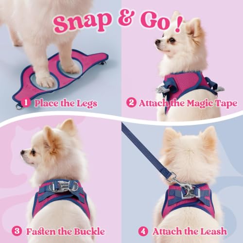 rabbitgoo Dog Harness Small Sized and Leash Set, Step in Soft Vest | Breathable Mesh, Easy Wear with Hook & Loop, Light and Reflective for Walking, Multi-colored, Rose Red & Navy Blue, XXS - color: Rose Red & Navy Blue, size: XXS (Chest: 12.4"-14.2")