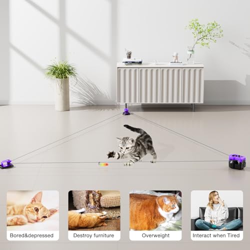 Interactive Cat Toys for Indoor Cats, Cat Treadmill Auto/Remote Control DIY Cat Mouse Hunting Toys, Keep Bored Kitten Dog Entertained to Chase, Feather Toy to Exercise Wheel-Purple - color: Purple