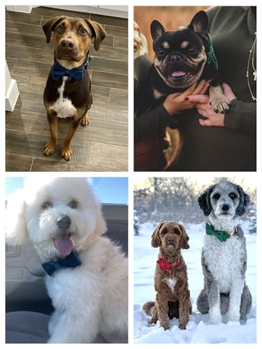 ARING PET Velvet Dog Collars with Bow tie, Bowtie Dog Collar, Cute Pink Collar for Girl and Boy Dogs,X-Small. - color: B-Pink, size: X-Small (Pack of 1)