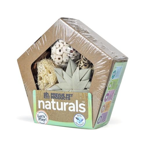 Prevue Pet Products Small Pentagon Forage 'n Play Box - Natural Small Animal Foraging Toy for Hamster, Gerbil, Guinea Pig, Rabbit, Rat, Mouse & Chinchilla Enrichment - size: Small