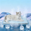 2-in-1 Cat Cooling Mat & Self Warming Pet Bed, All Season | Self Warming & Cooling, Hot/Cold Mat for Dogs and Cats, Free Gel Pack and Disposable Self-heating Pad - color: Light Blue+Gel ice pack+Selfheating pad, size: Medium