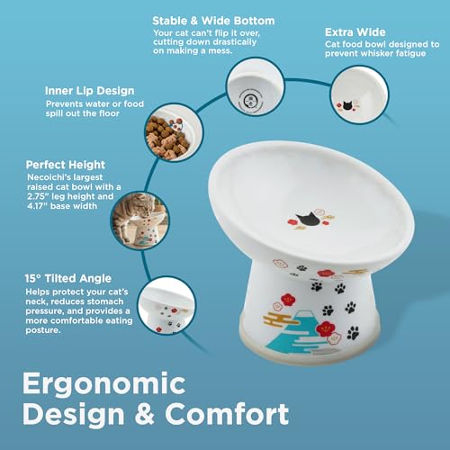 Necoichi Ceramic Elevated Cat Food Bowl, 15° Tilted (Fuji, Regular Tilted) - color: Fuji, size: Regular Tilted