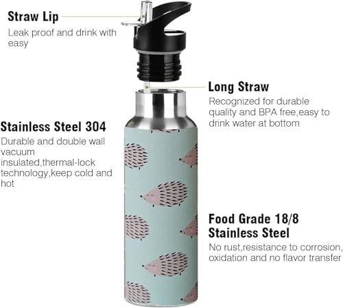 Kids Water Bottle with Straw,Hedgehog Bottle Vacuum Insulated Stainless Steel Travel Mugs Tumbler For Sport School Outdoor 20 oz - color: Blue Hedgehog