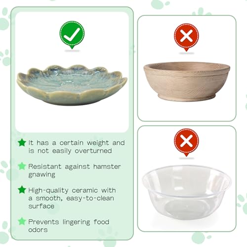 BNOSDM Shallow Ceramic Hamster Food Dish 2 Pcs Small Animals Food Bowl Sunflower Feeding Dishes for Gerbils Mice Rats 4.5in (Dark Green) - color: Dark Green