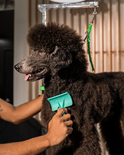 Jelly Pet Universal Slicker Brush for Dogs, Grooming Brush, Remove Tangles and Dead Undercoat, Tuffer Than Tangles, Doodle Huskie Sheep Dog Golden Retriever German Shepherd, Firm Pins, Teal, Large - color: Teal, size: Large (3 in x 4 in) - Pins (Firm)