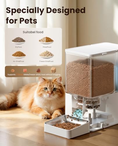 Automatic Cat Feeder & Water Dispenser,Button Customizable Feeding | 2 in 1 Feeding Drinking Water/5L Food Feeder,3.5L Water Fountain/Stainless Steel Bowls/Detachable Clean/White - color: White, size: 8.5L-Standard