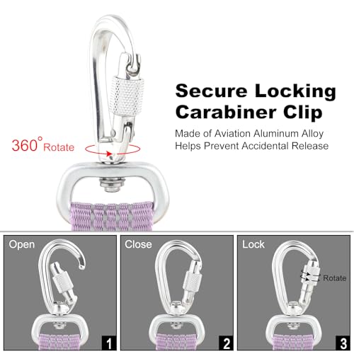 Plutus Pet Heavy Duty Dog Leash with Lockable Aluminum Carabiner, 6 FT Long | Double-Sided Reflective Nylon, Padded Handle, Heavy Duty, for Puppy Small Medium and Large Dogs (Purple, 1" x 6') - color: Lilac Purple, size: 1" x 6'