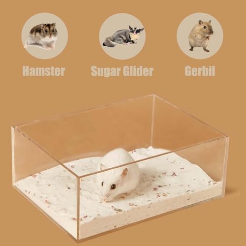 Transparent Hamster Sand Bath Box for Hamster Cage Accessories, Digging Sand Container with Climbing Ladder, Large Sandbox for Hamsters Dust Bath and Play Sand (M, Rectangle) - size: M