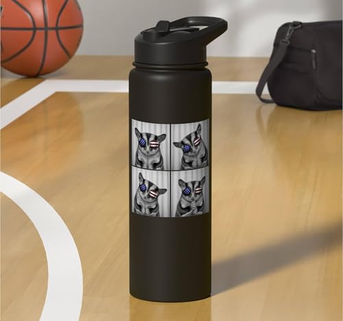 Sugar Glider 4th of July US American Flag Patriotic Stainless Steel Insulated Water Bottle - color: Black
