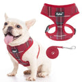 PUPTECK Soft Mesh Dog Harness and Leash Set Pet Puppy Cat Comfort Padded Vest No Pull Harnesses, Red, S - color: Red, size: S (NECK: 12", CHEST: 14"-18")