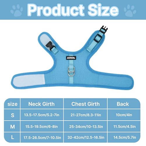 Adjustable Rabbit Harness and Leash Set Escape Proof, Blue M | Padded Vest with Magic Tape Design, Indoor/Outdoor Use (Training, Hiking) - Fits Hamsters, Rats, Iguanas, Puppies, Cats