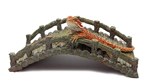 Reptile Bridge, Driftwood Gray, Reptile Habitat Accessory