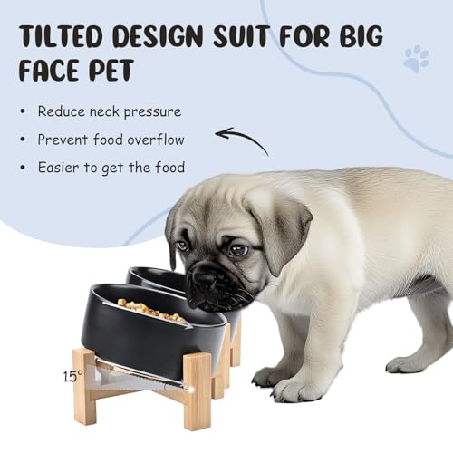 SPUNKYJUNKY 15° Slanted Ceramic Dog and Cat Bowl with Wooden Stand, Tilted Bulldog Food and Water Bowl No Slip Non-Spill for Cats Medium Dogs Big Face Pets 13.5 OZ (1.7 Cups, Black × 2) - color: Black, size: 1.7 CUPS × 2