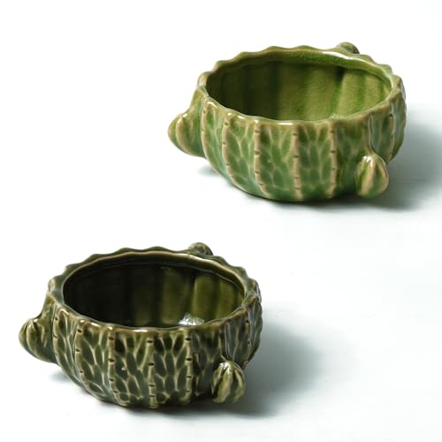 2 Pack Green Cactus Ceramic Hamster Food Bowl Anti-Tip Water Dish | Durable & Heavy Duty Ceramic Feeding Drinking Bowl for Gerbil Mouse Chinchilla Hedgehog Guinea Pig, Cute Desert Cactus Decor