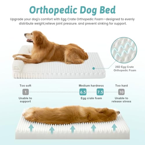 COZY KISS Ultra Soft Faux Rabbit Fur Dog Bed for Small Dogs – 30"x20" Orthopedic Foam Couch, Removable Washable Cover & Waterproof Lining, Cream