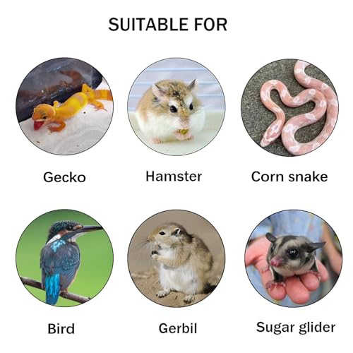 2Pcs Hamster Suspension Bridge 15.7x2.4in Flexible Bendy Climbing Ladder Hanging Wooden Chew Toy for Bird Parrot Chipmunk Sugar Glider Gerbil Mice