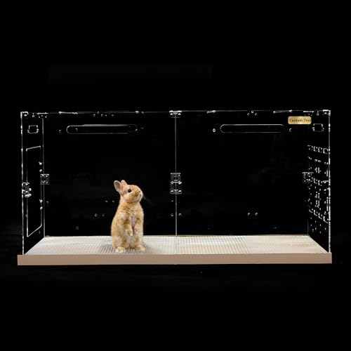 GuineaLoft™ Custom Acrylic Cage (Model-B) for Bunnies & Rabbits - 4'x2'x2' | Large & Extra Tall, Crystal Clear, Mess-Free Bottom w/ Stainless Steel Grid, Optional Background & Personalized Name Plate - color: Model-B