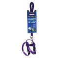 Marshall Ferret Harness and Lead Set – 48" – Purple Color – Adjustable 3/8" Flat Nylon with Quick-Snap Buckles – Escape-Resistant Design – Lead Included - color: Purple
