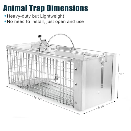 Live Animal Cage Trap, Heavy Duty Humane Cage Trap for Squirrels, Chipmunks, Rabbits, and Small Rodents, Safely Catch & Release - 1 Trap