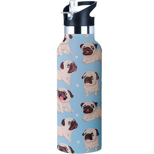 Kids Water Bottle with Straw,Dog Pug Bottle Vacuum Insulated Stainless Steel Travel Mugs Tumbler For Sport School Outdoor 20 oz - color: Blue Pug