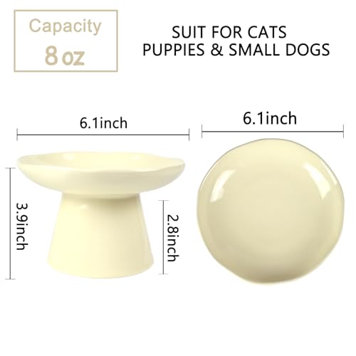Wide Shallow 6.1" Raised Cat Bowls, Ceramic Elevated Food Plate for Flat Faced Cats and Small Dogs, Porcelain Feeder Bowl, Stress Free, Protect Cat’s Spine, Cream - color: Cream-Shallow