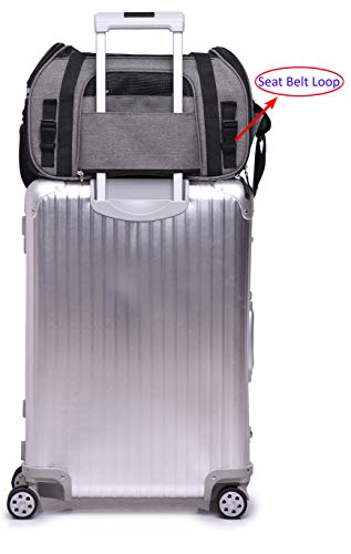 EliteField Soft-Sided Pet Carrier for Cats & Small Dogs (3-Year Warranty) | Airline Approved, Removable Bed & Cover, Built-In Leash, Luggage Sleeve, Seat Belt Loop, Waterproof, Durable, Foldable - color: Charcoal Gray, size: 21.0"L x 12.0"W x 13.0"H