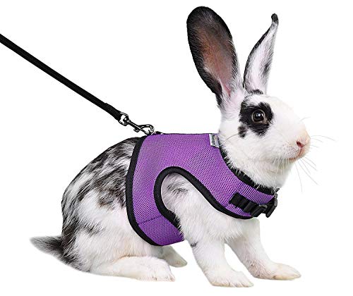 Niteangel Adjustable Soft Harness with Elastic Leash for Rabbits (M, Purple) - color: Purple, size: M