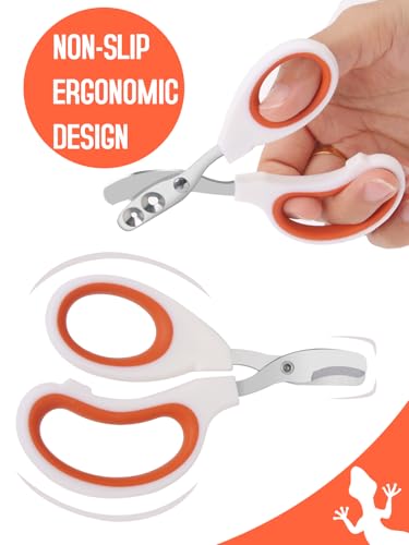Stainless Steel Bearded Dragon Nail Clippers,Lizard Nail Clippers,Bearded Dragon Supplies,Bearded Dragon Nail Scissors for Small Reptiles,Turtle,Chameleon,Iguana，Hedgehog（Orange） - color: Orange