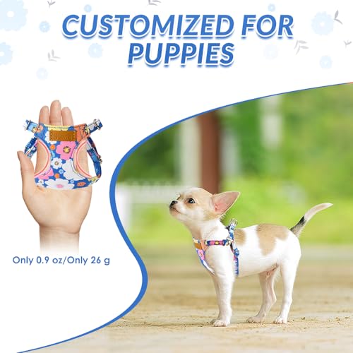Lukovee Puppy Harness and Leash Set, No Pull, Lightweight Step in Vest | Adjustable, Soft Suede Vest, Easy Put on and off Pet Harness with Snap Buckle & 51in Leash for Small Medium Dogs (Blue, XXS) - color: ·Blue Flower, size: XX-Small ( 2.2-6lb )