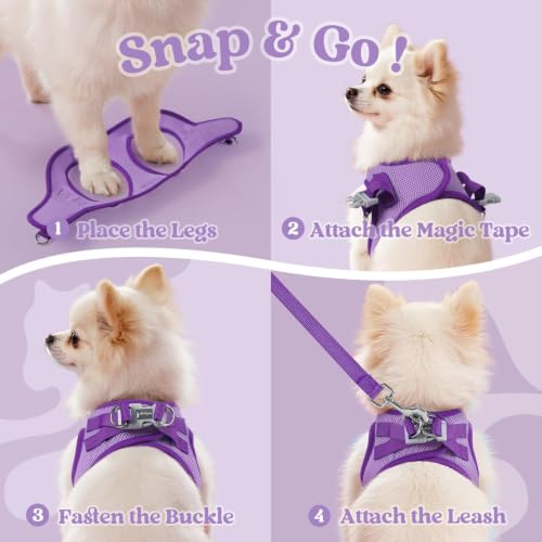rabbitgoo Dog Harness Small Sized and Leash Set, Step in Soft Vest | Breathable Mesh, Easy Wear with Hook & Loop, Light and Reflective for Walking, Multi-colored, Light Purple & Purple, XXS - color: Light Purple & Purple, size: XXS (Chest: 12.4"-14.2")