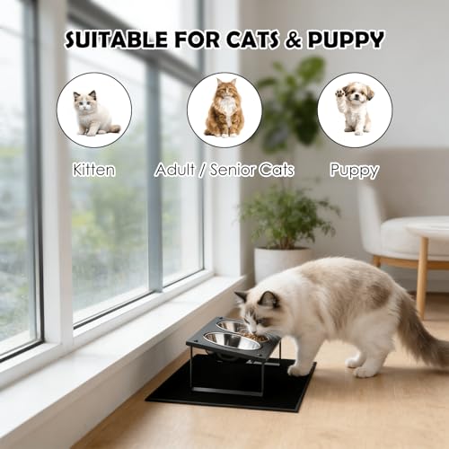 Elevated Cat Bowls with Splash Proof Mat for Kitten Puppy, 10° Tilted Raised Cat Bowl Stand Anti-Vomiting, 2 Wide Shallow Stainless Steel Bowls, Whisker Friendly, 3.5" Tall - color: Black-2bowls